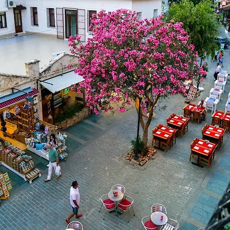 Daire Center Kaş